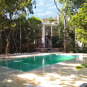 Saasil Kaax Lodge Chemuyil